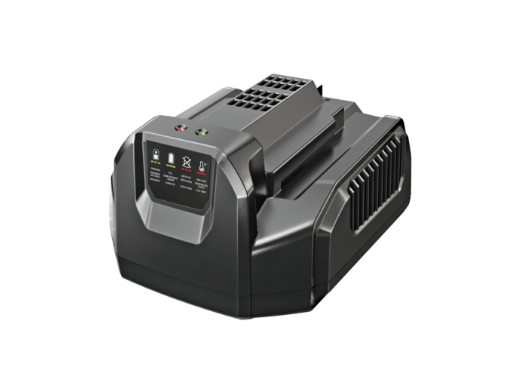 CH2100E Standardladegerät